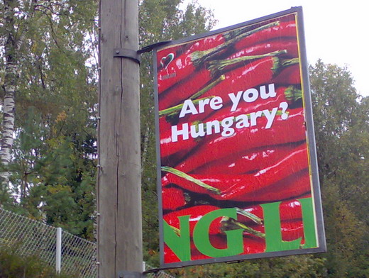 Are you Hungary?